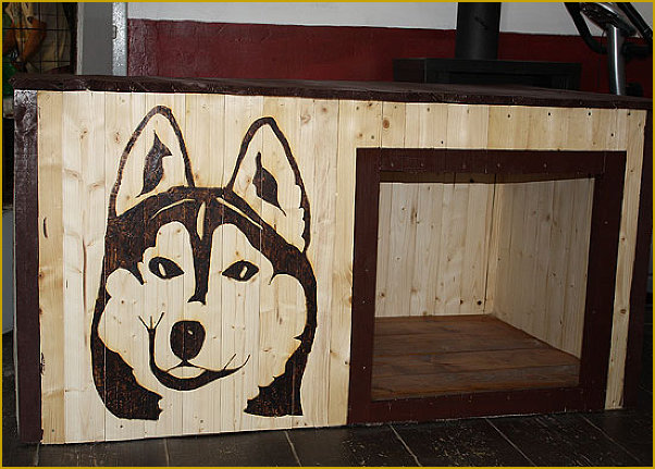 Wir bauen eine Indoor Huskyhundehütte