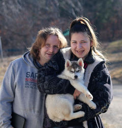 Siberian Husky Nordic Fire