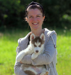 Siberian Husky Nordic Fire