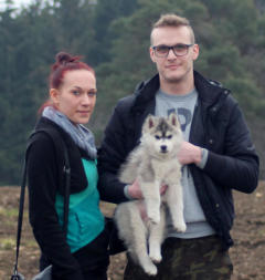 Siberian Husky Nordic Fire