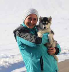 Siberian Husky Nordic Fire