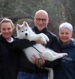 Siberian Husky Nordic Fire