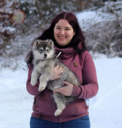 Siberian Husky Nordic Fire