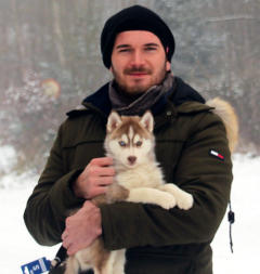 Siberian Husky Nordic Fire